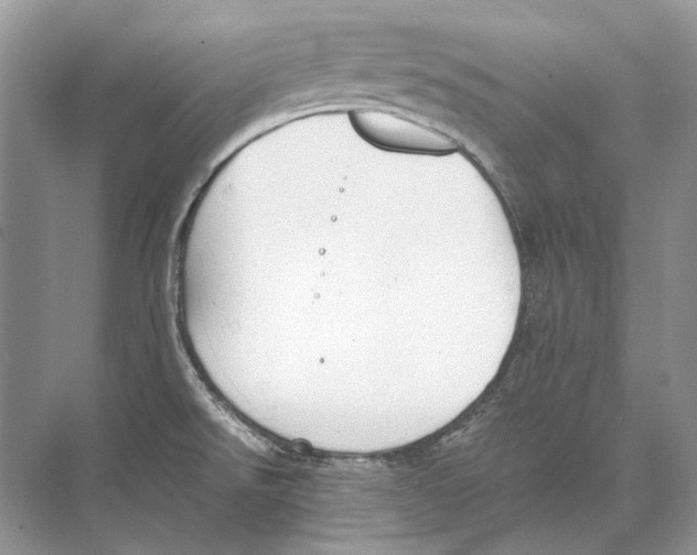 X0000074331526200609230039