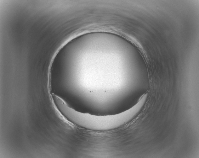 X0000074331528200609230039