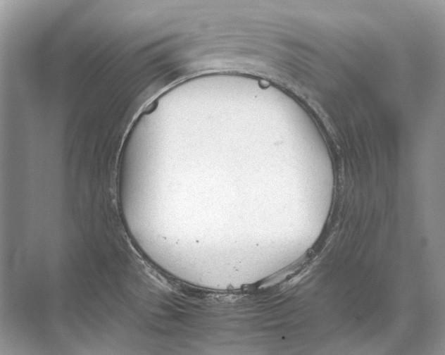 X0000074331529200609230039