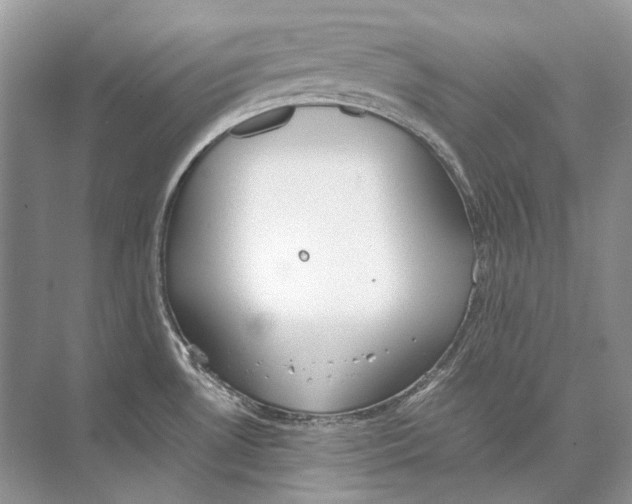 X0000074331530200609230039