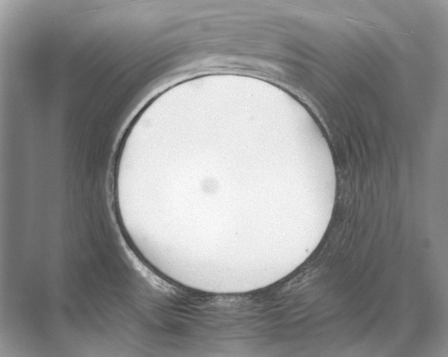 X0000074331531200609230039