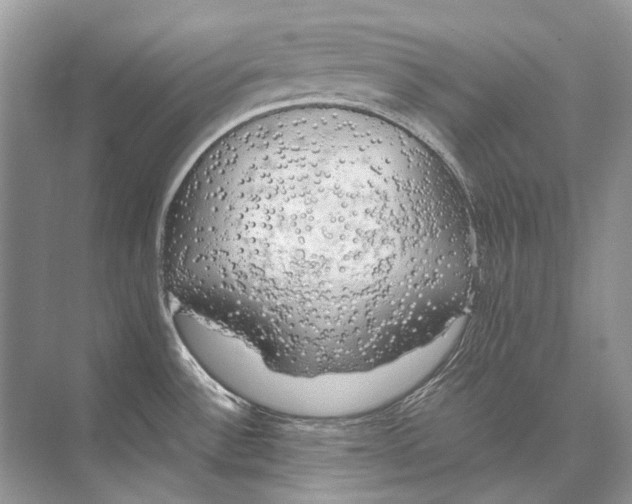 X0000074331532200609230039