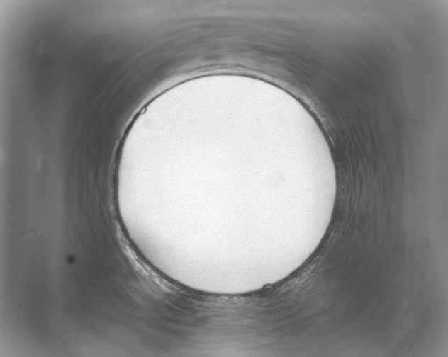 X0000074331534200609230039