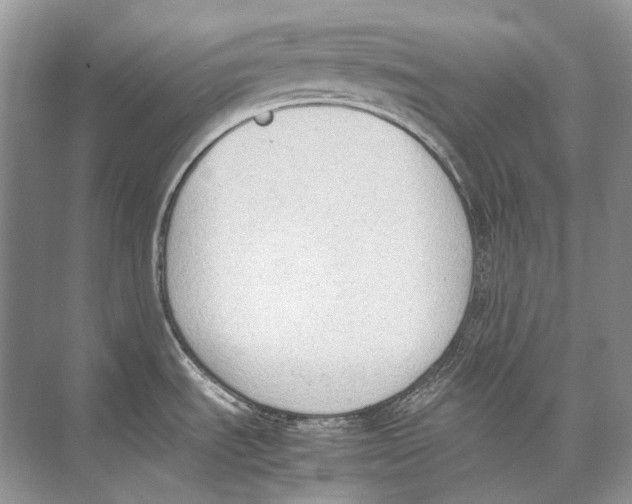 X0000074331535200609230039