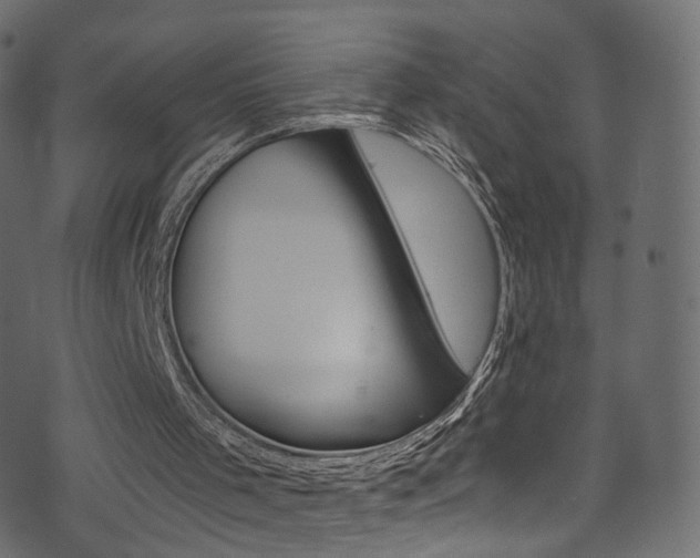 X0000074340001200608251057