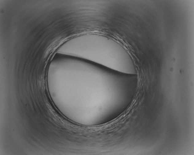 X0000074340002200608251057