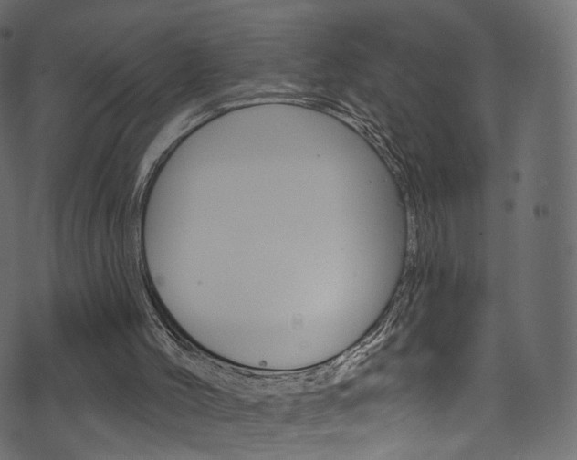 X0000074340004200608251057