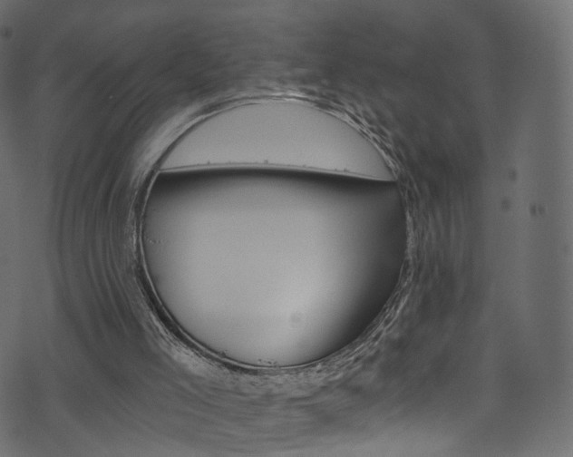 X0000074340005200608251057