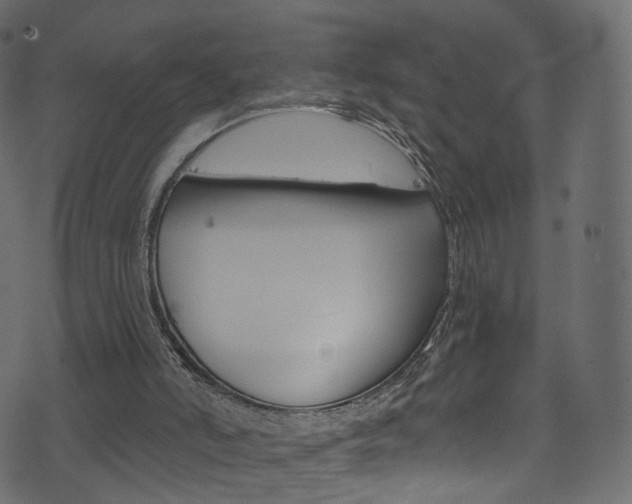 X0000074340006200608251057