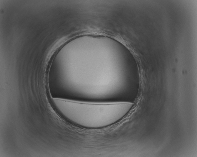 X0000074340007200608251057