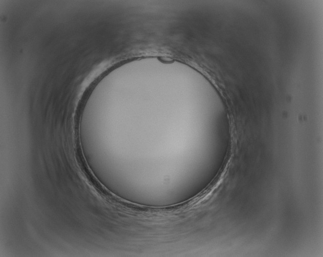 X0000074340008200608251057