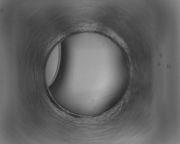 X0000074340009200608251057