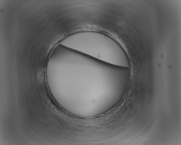 X0000074340010200608251057