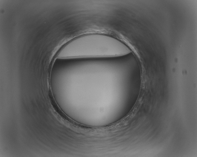 X0000074340011200608251057