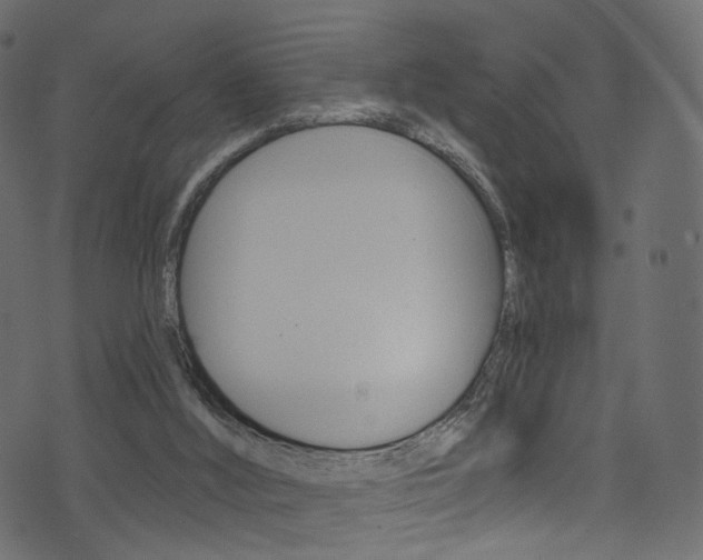 X0000074340012200608251057