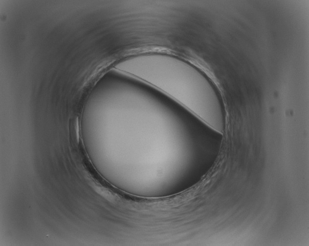 X0000074340013200608251057