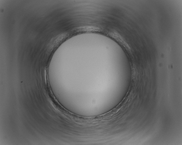 X0000074340014200608251057