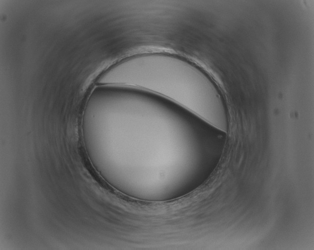 X0000074340015200608251057