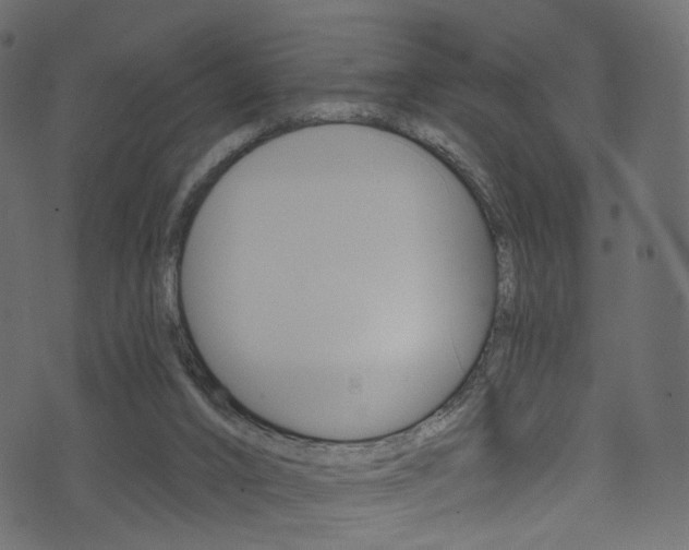 X0000074340016200608251057