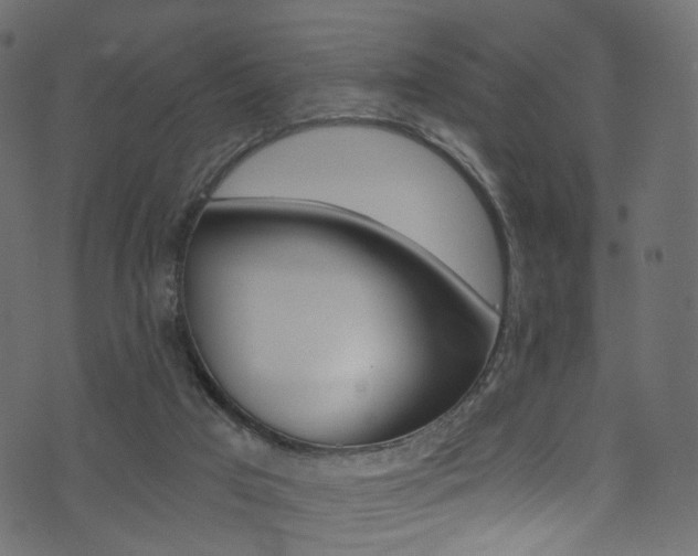 X0000074340017200608251057