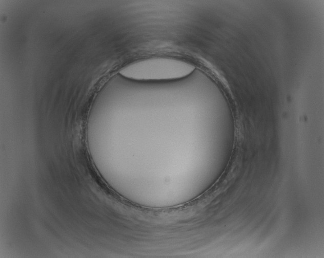 X0000074340018200608251057