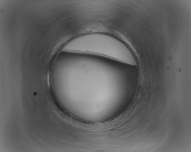 X0000074340019200608251057