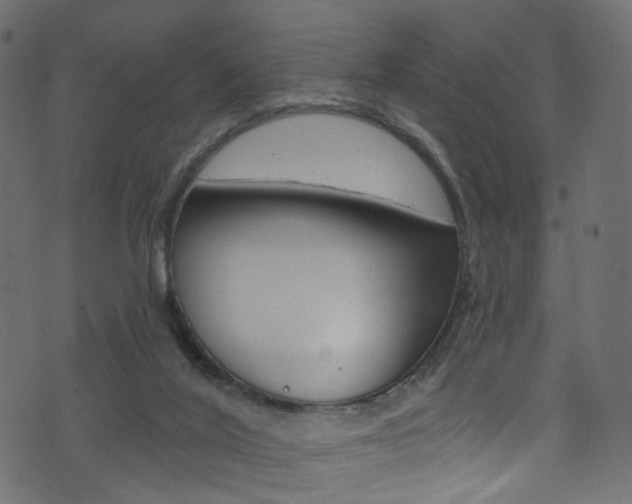 X0000074340020200608251057