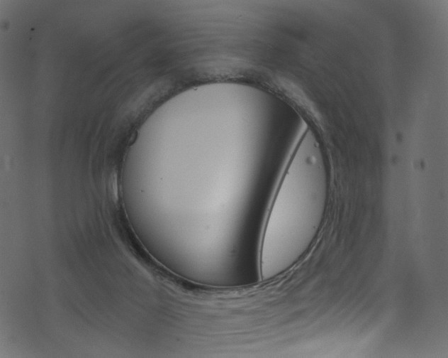 X0000074340021200608251057