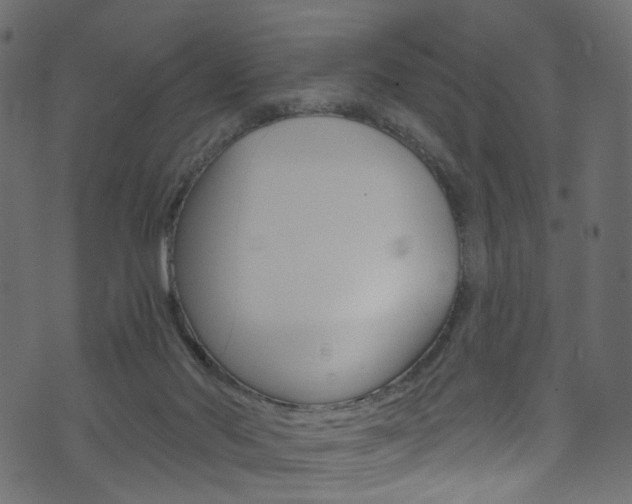 X0000074340022200608251057