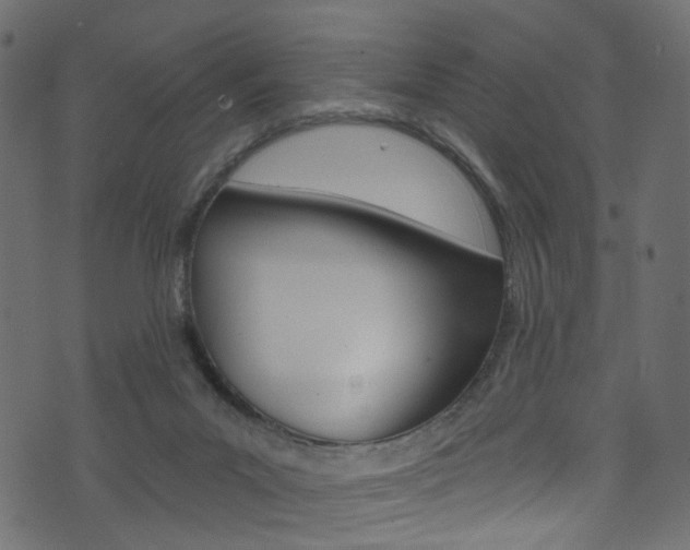 X0000074340023200608251057