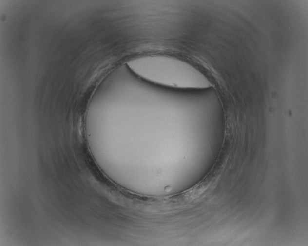 X0000074340024200608251057