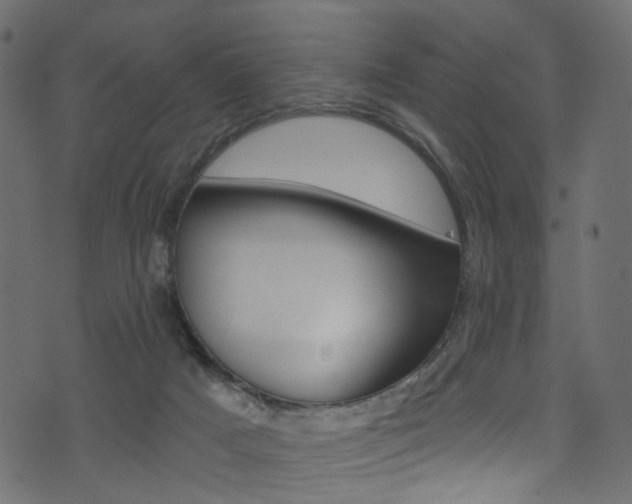 X0000074340025200608251057