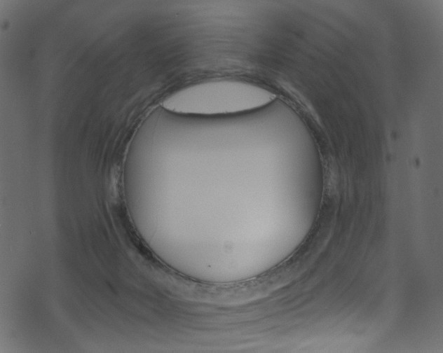 X0000074340026200608251057