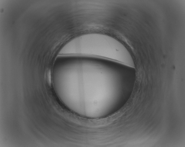 X0000074340027200608251057