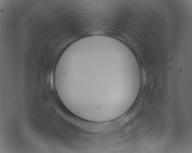 X0000074340028200608251057