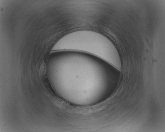 X0000074340029200608251057