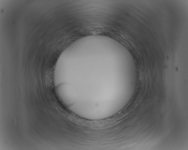 X0000074340030200608251057