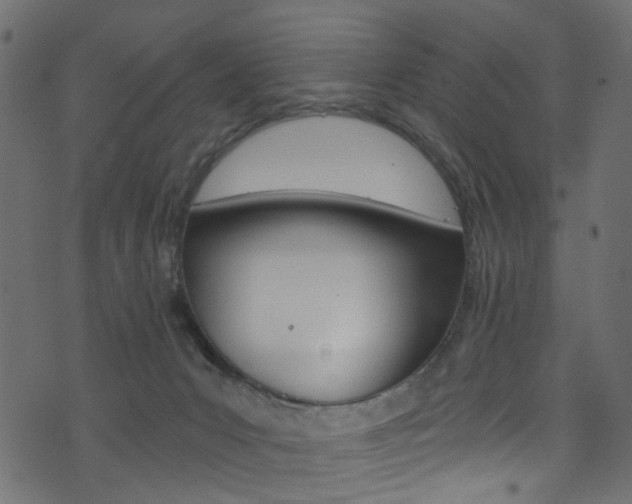 X0000074340031200608251056