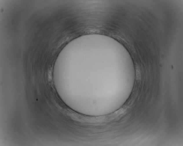 X0000074340032200608251056