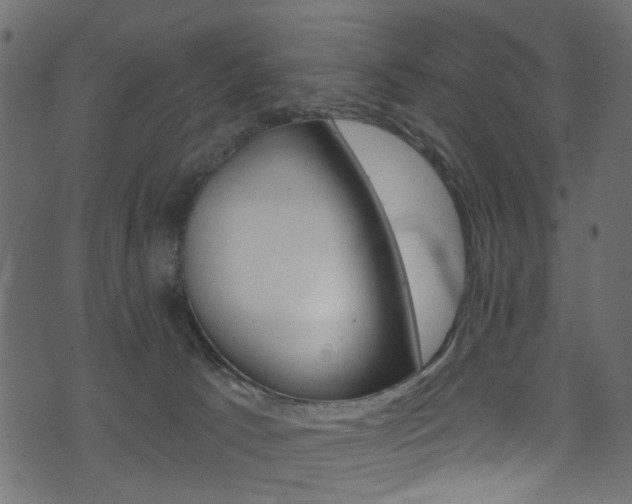 X0000074340033200608251056