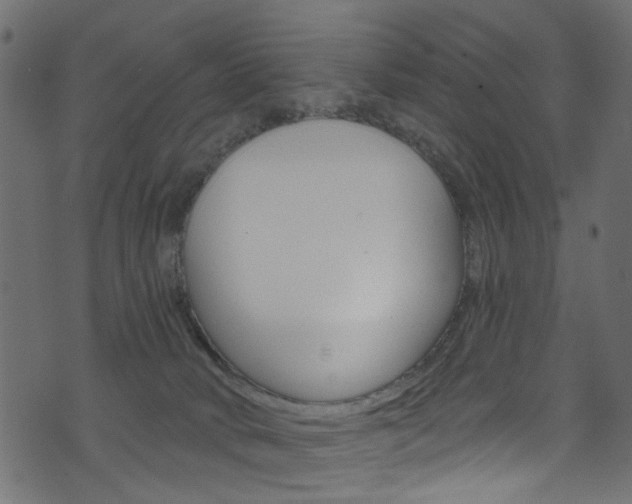 X0000074340034200608251056