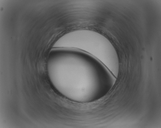 X0000074340035200608251056