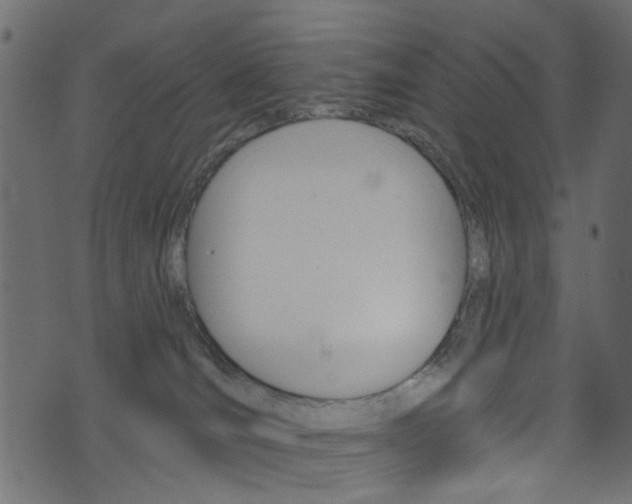 X0000074340036200608251056