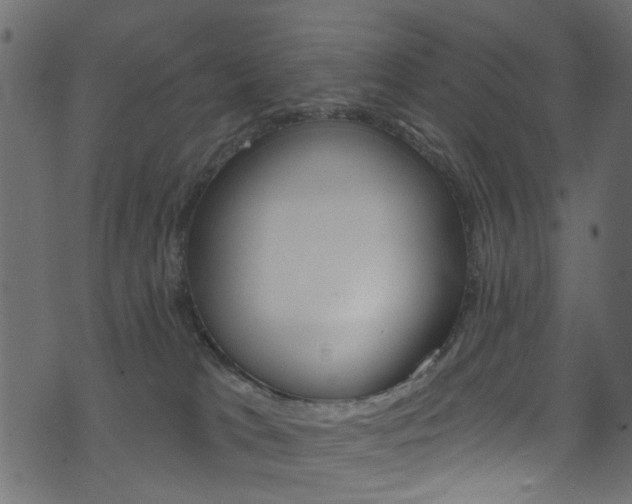 X0000074340037200608251056