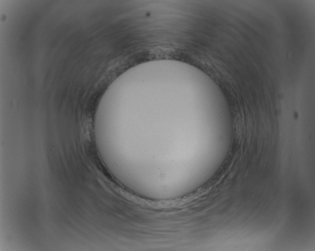 X0000074340038200608251056