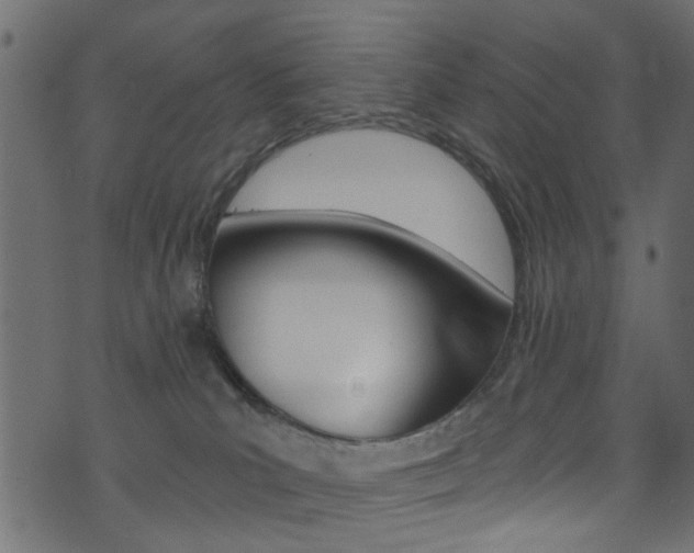 X0000074340039200608251056