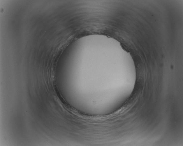 X0000074340040200608251056