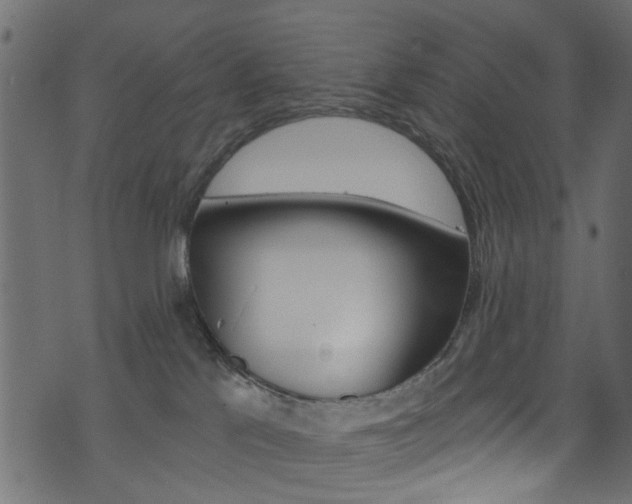 X0000074340041200608251056