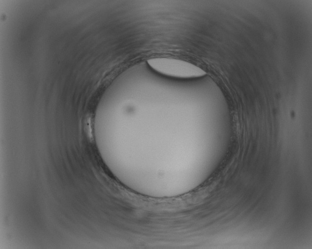 X0000074340042200608251056