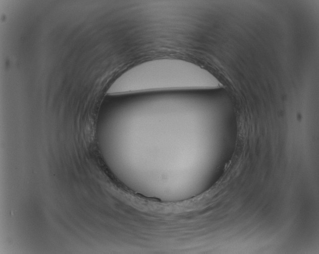 X0000074340043200608251056